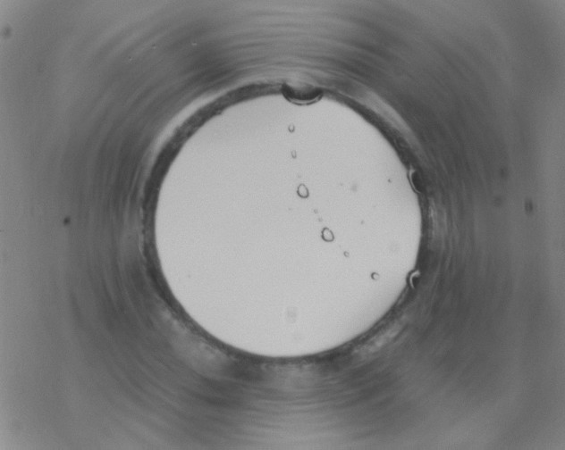 X0000076251020200610261935