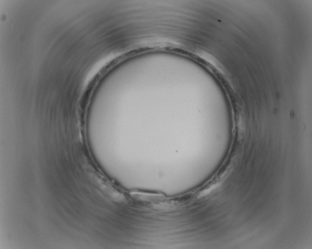 X0000076251022200610261935