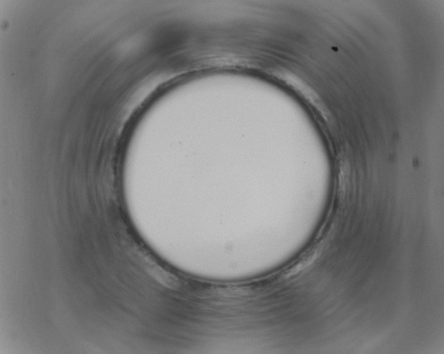 X0000076251023200610261935