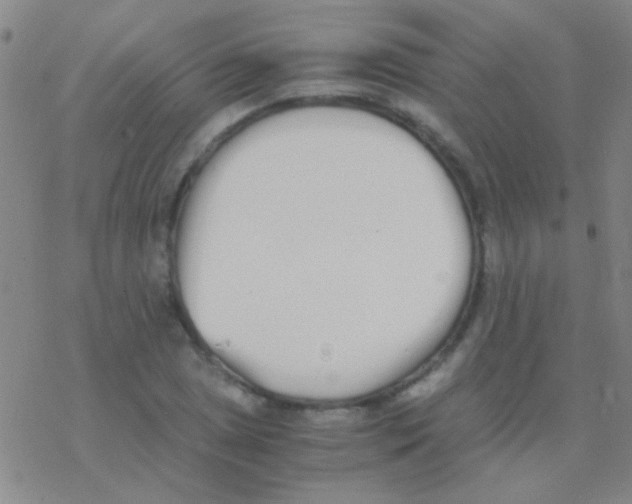 X0000076251025200610261935