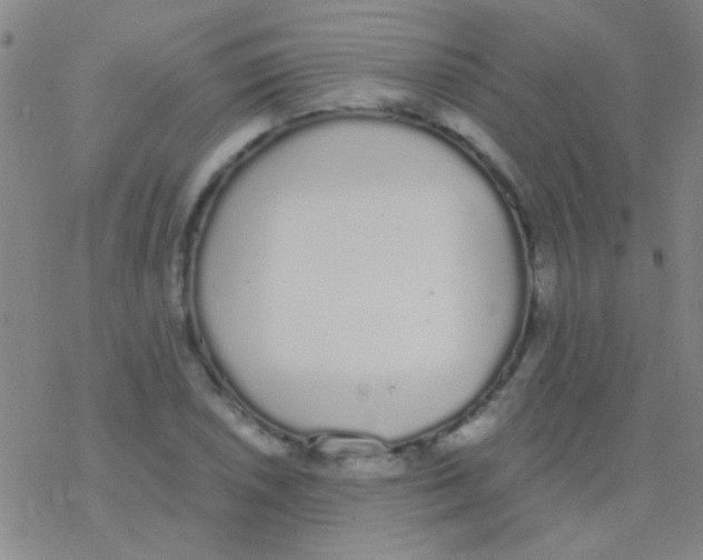 X0000076251026200610261935