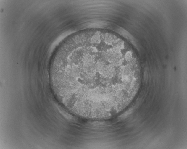 X0000076251027200610261935