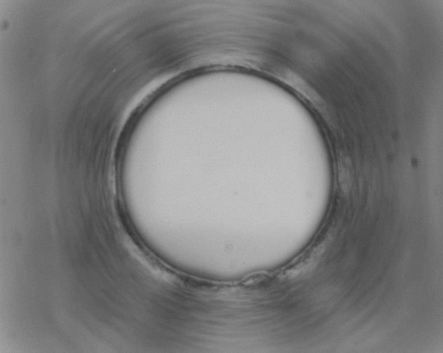 X0000076251028200610261935