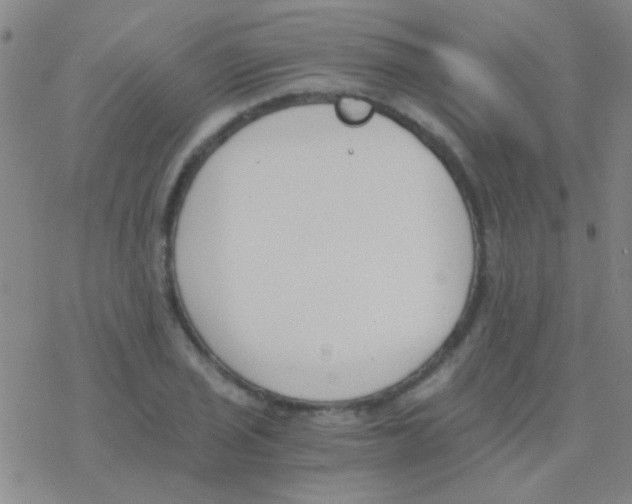 X0000076251029200610261935