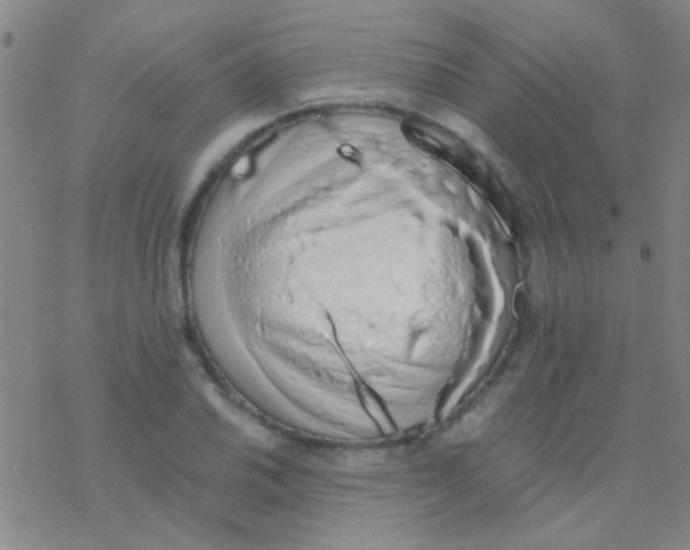 X0000076251030200610261935