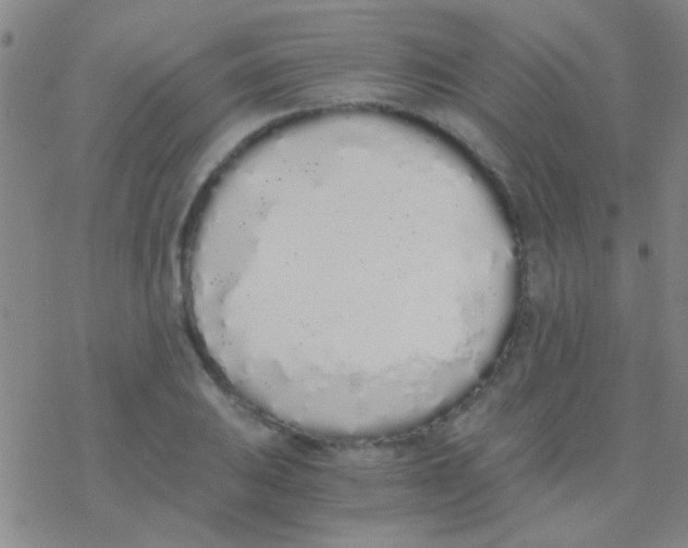 X0000076251031200610261935