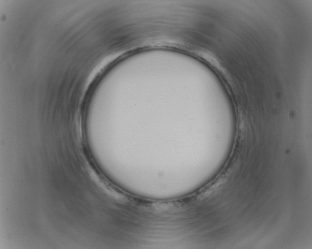 X0000076251032200610261935