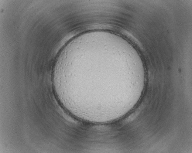 X0000076251033200610261935