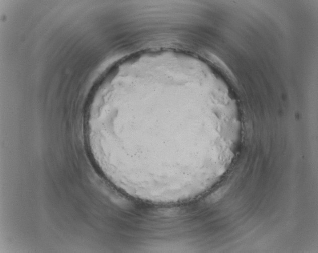 X0000076251035200610261935