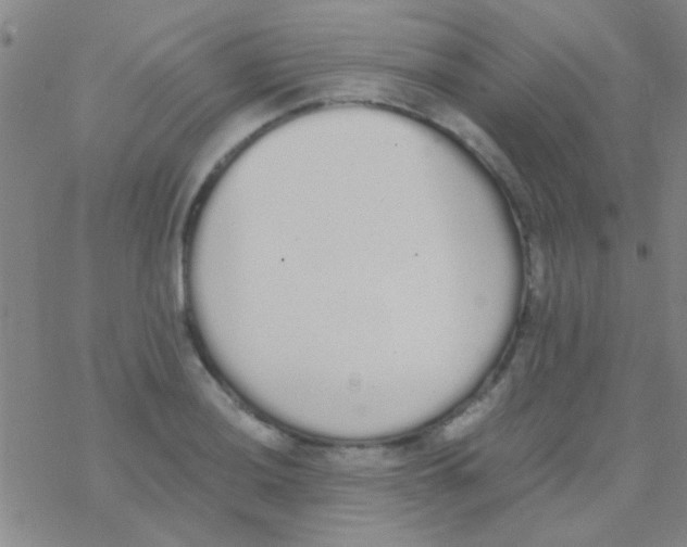 X0000076251036200610261935