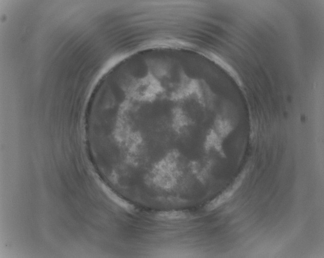 X0000076251037200610261935