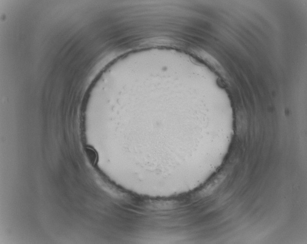 X0000076251039200610261935