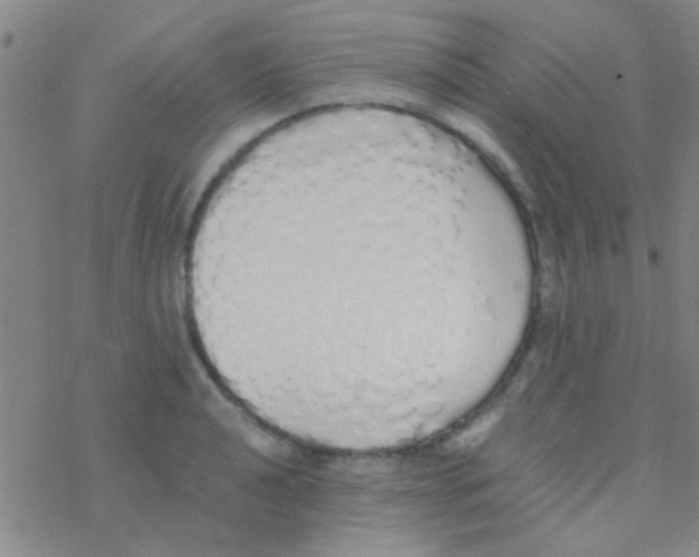 X0000076251040200610261935