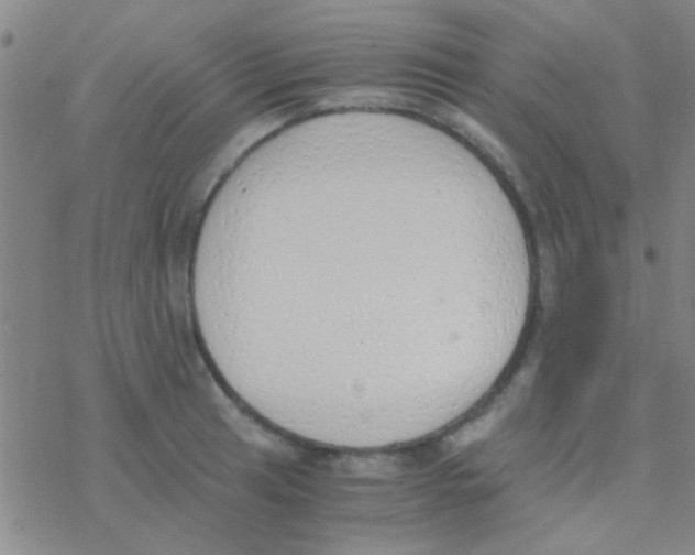 X0000076251041200610261935