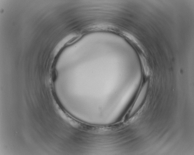 X0000076251042200610261935