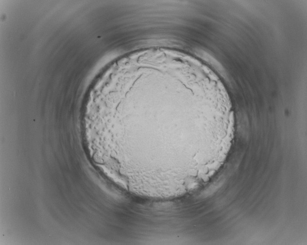 X0000076251043200610261935