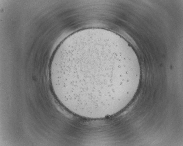 X0000076251044200610261935