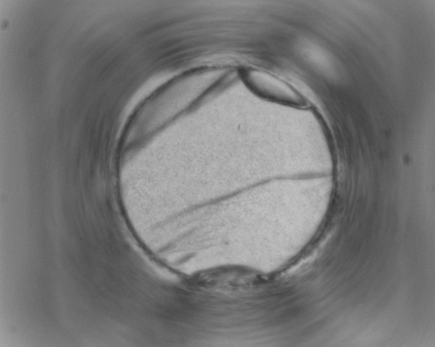 X0000076251045200610261935