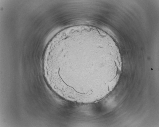 X0000076251047200610261935