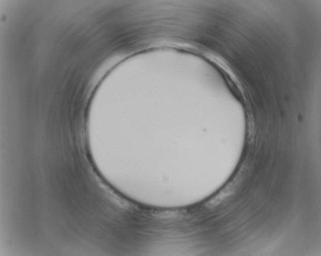 X0000076251048200610261935