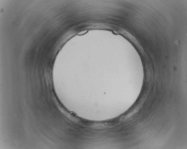 X0000076251049200610261935