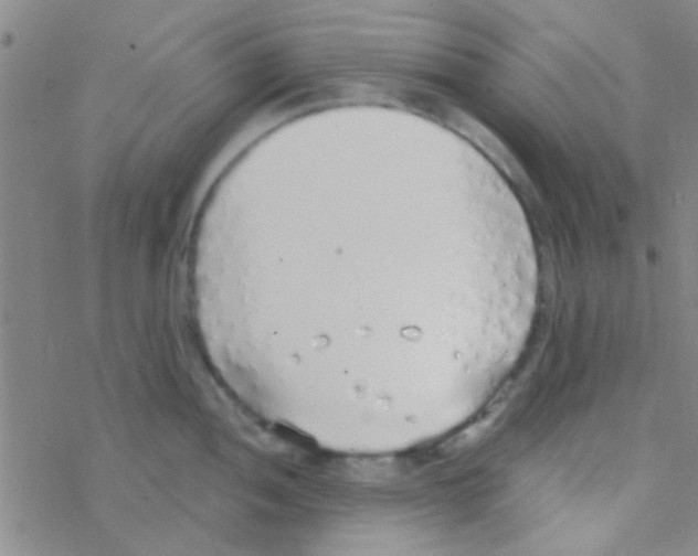 X0000076251052200610261935