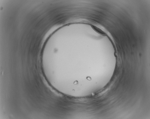 X0000076251053200610261935