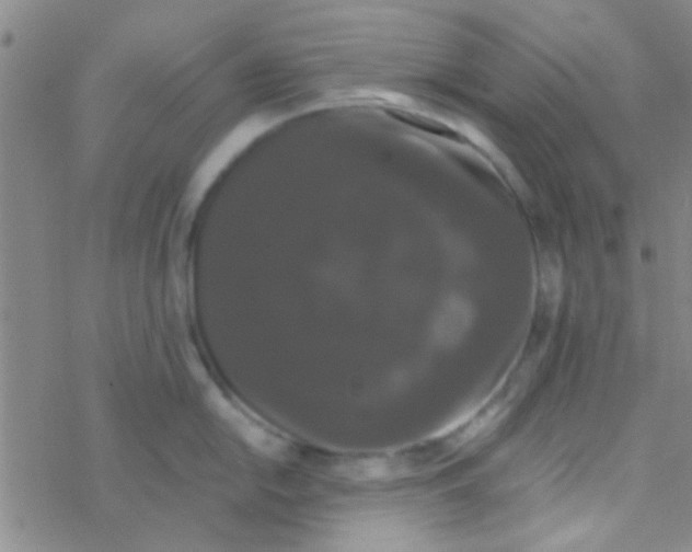 X0000076251054200610261935