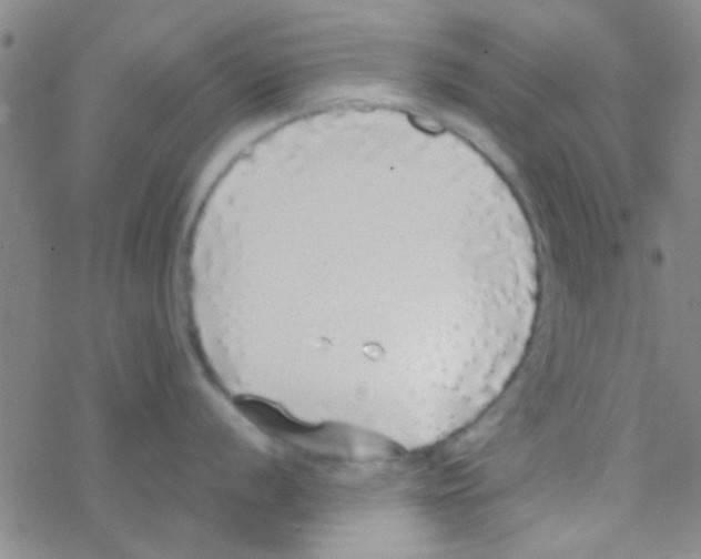 X0000076251056200610261935