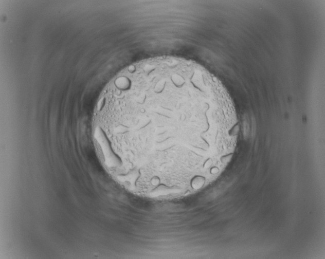 X0000076251059200610261935