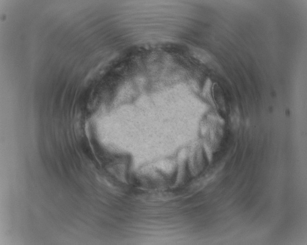 X0000076251060200610261935