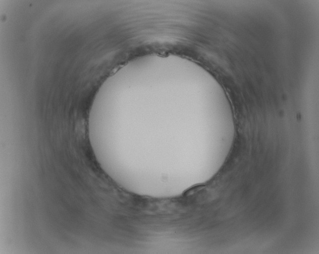 X0000076251061200610261935