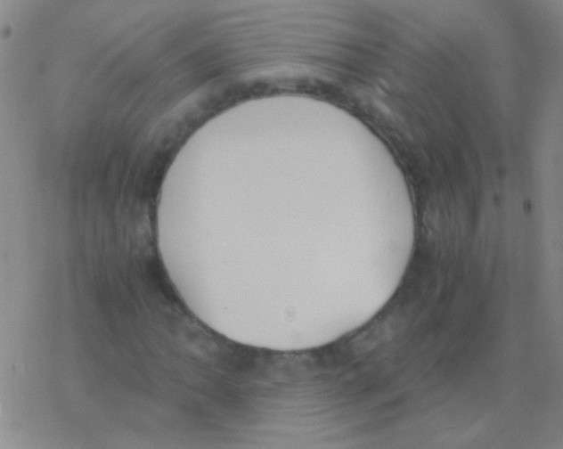 X0000076251062200610261935