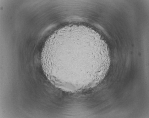 X0000076251063200610261935