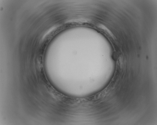 X0000076251064200610261934