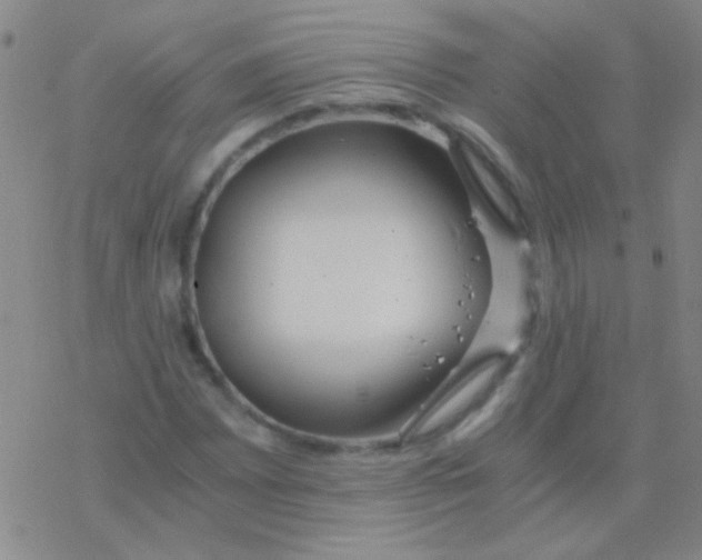 X0000076251065200610261934