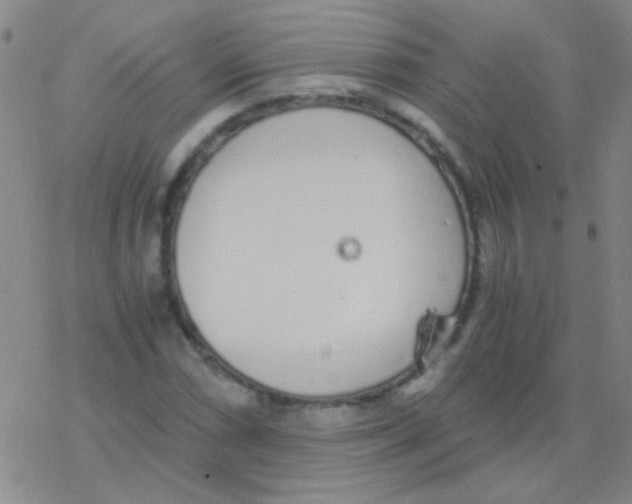 X0000076251066200610261934