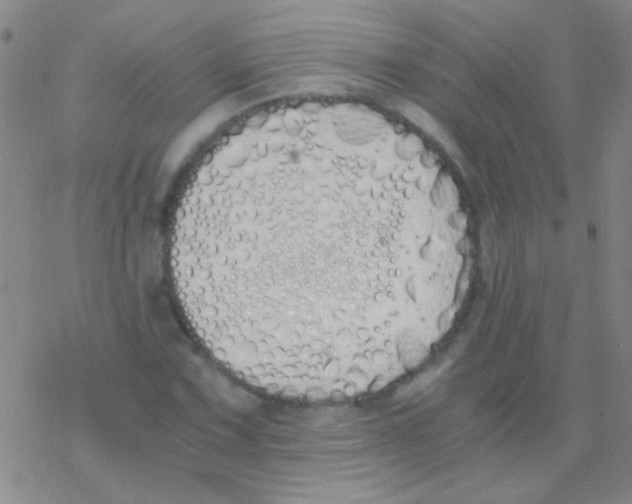 X0000076251067200610261934