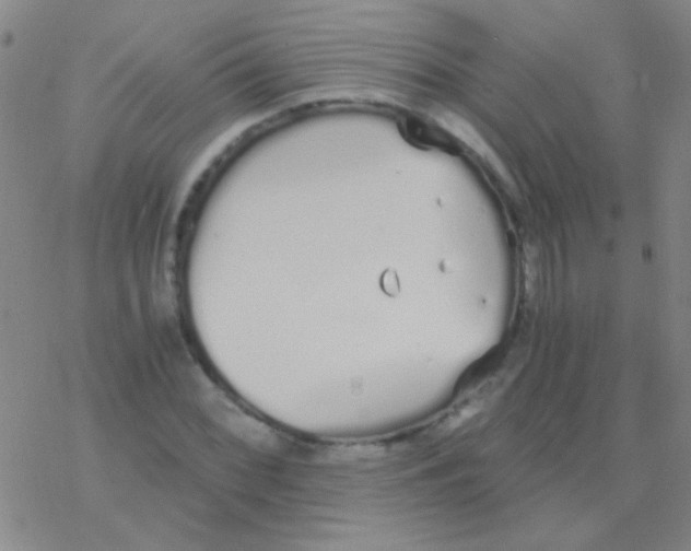 X0000076251068200610261934