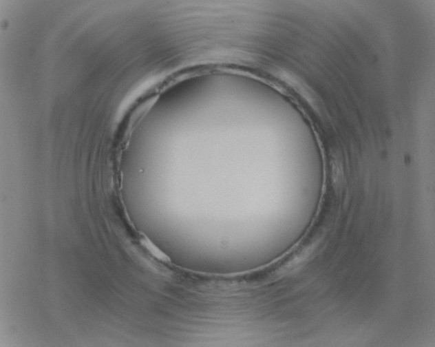 X0000076251069200610261934