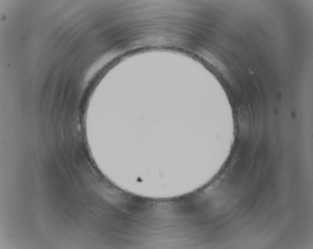 X0000076251070200610261934