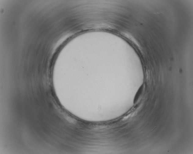 X0000076251071200610261934