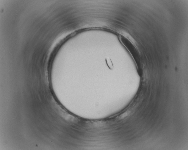 X0000076251072200610261934