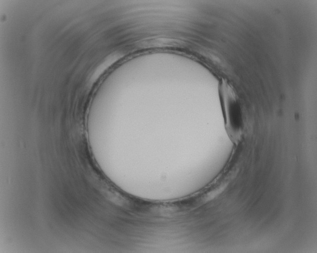 X0000076251073200610261934