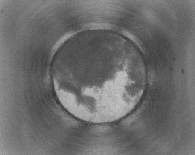 X0000076251074200610261934