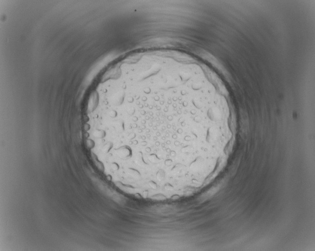 X0000076251075200610261934