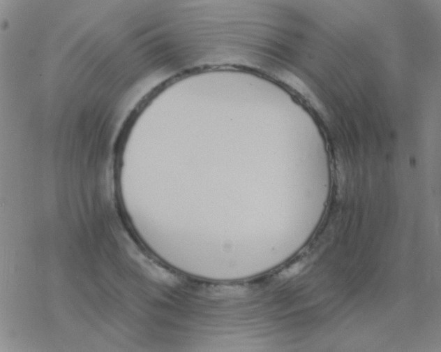 X0000076251076200610261934