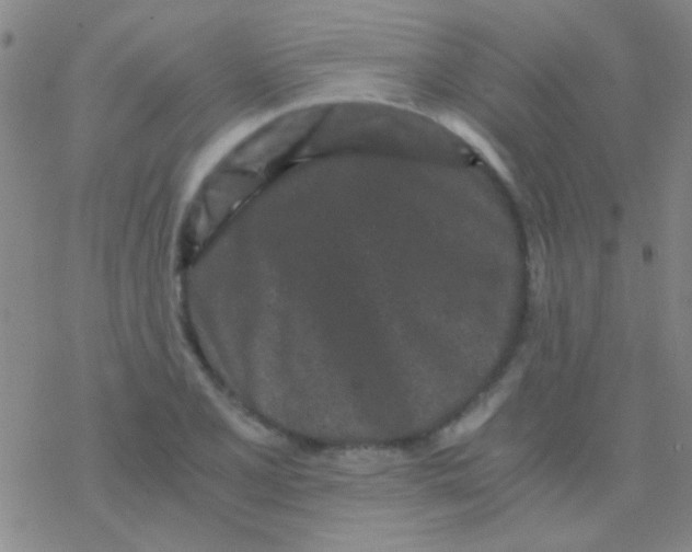 X0000076251077200610261934