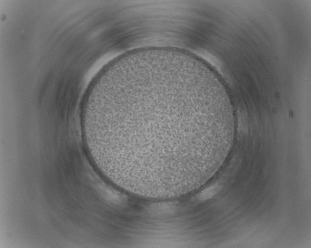 X0000076251078200610261934