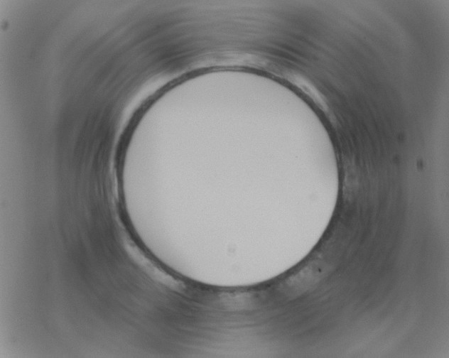 X0000076251080200610261934